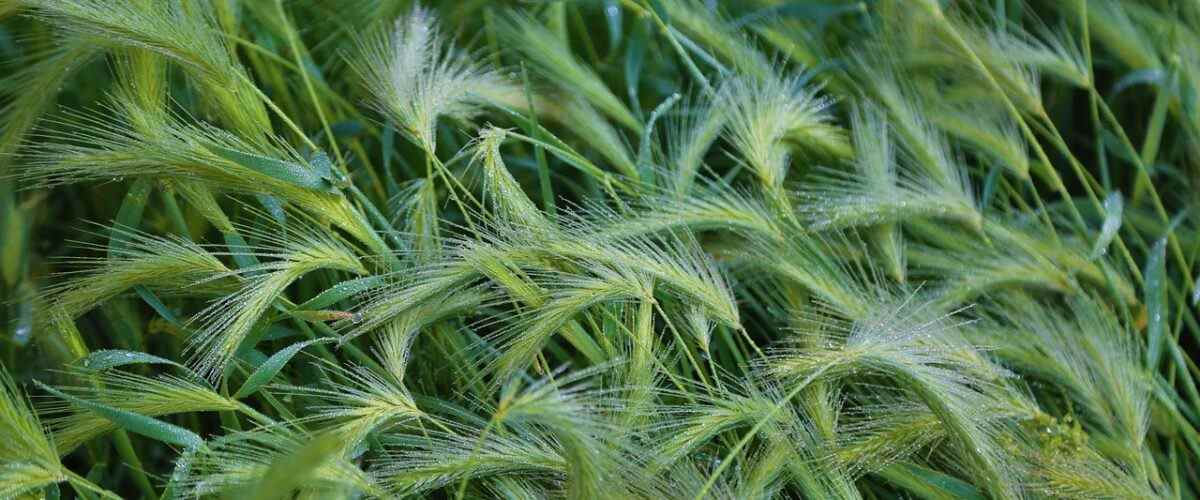 Spor Yaparak Bursa'nın Gizli Güzelliklerini Keşfedin