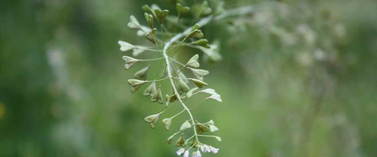 Spor Yaparak Bursa'nın Renkli Kültürünü Keşfedin