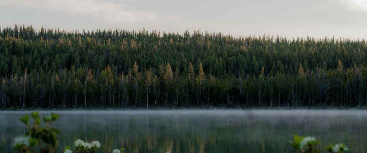 Spor Yaparken Eğlencenin Adresi: Büyükorhan'daki Fitness Merkezleri