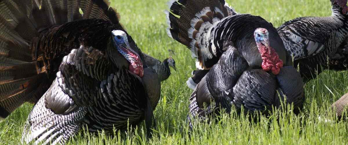 Spor Yapmanın Keyfini Bursa'da Çıkarın