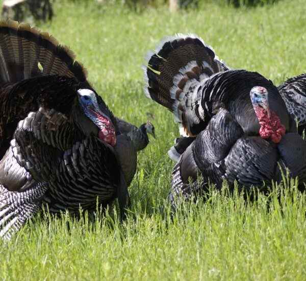 Spor Yapmanın Keyfini Bursa'da Çıkarın