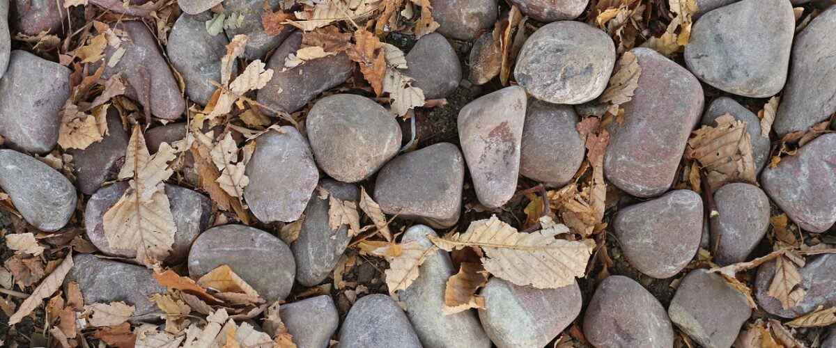 Spora Başlamanın Tam Zamanı: Bursa Spor Salonları