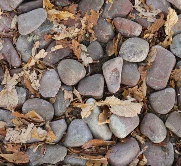 Spora Başlamanın Tam Zamanı: Bursa Spor Salonları