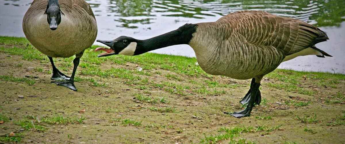 Sporun Keyfini Çıkarın: İnegöl En Yakın Spor Salonları