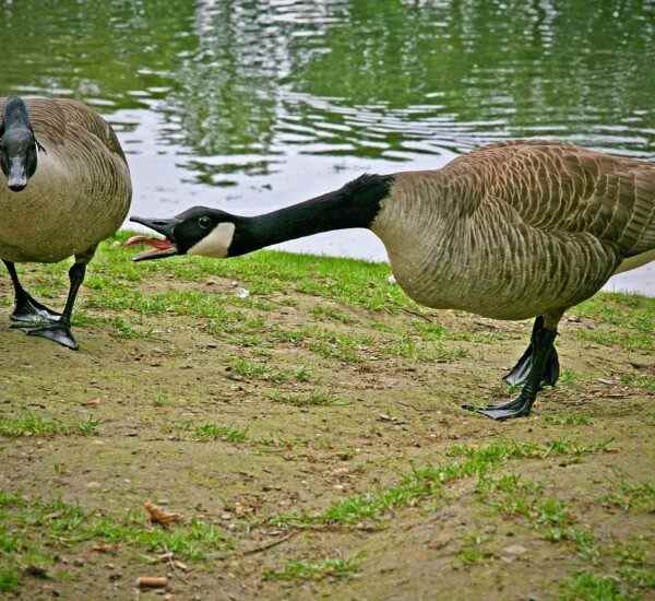 Sporun Keyfini Çıkarın: İnegöl En Yakın Spor Salonları