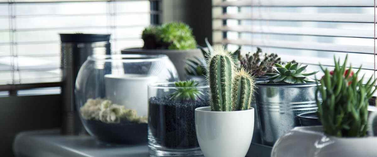 Yıldırım Erkek Spor Salonları