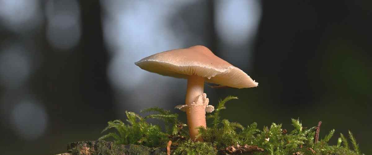 Yıldırım’da Spor ve Fitness Keyfi