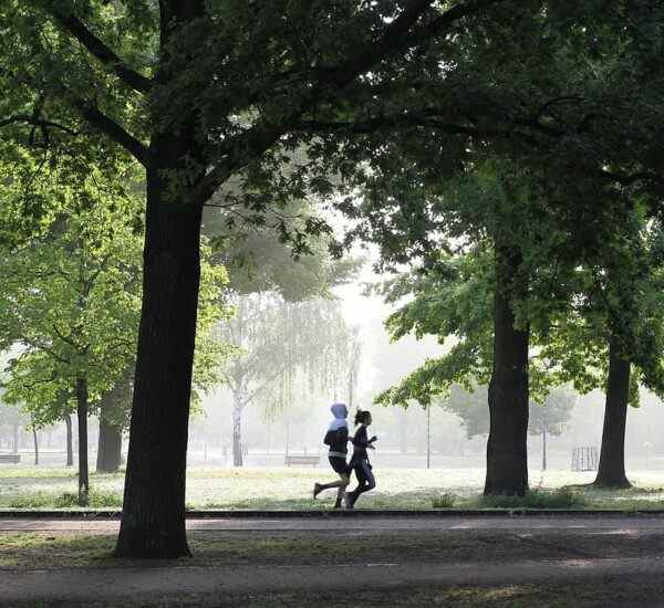Yıldırım’da Spor Yapmanın Yolları